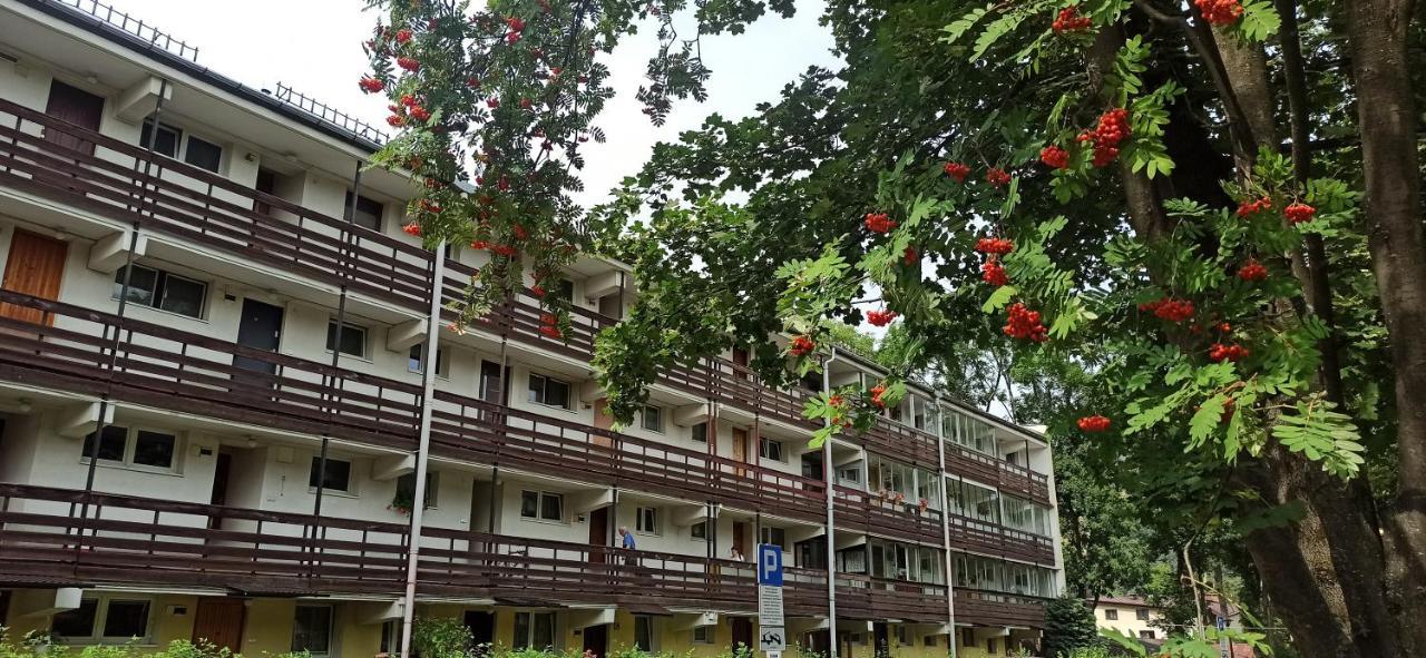 Retrospekcja - Apartament W Centrum Zakopane Eksteriør bilde